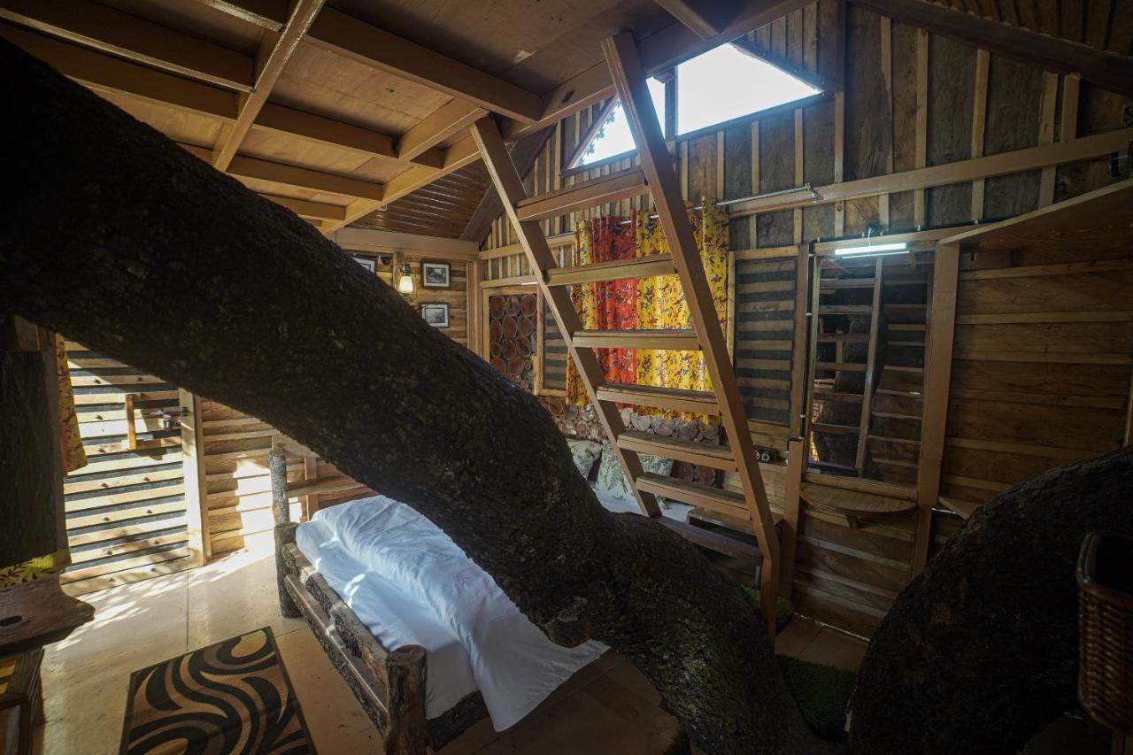 Tiger Fall Eco Resort チャクラタ エクステリア 写真